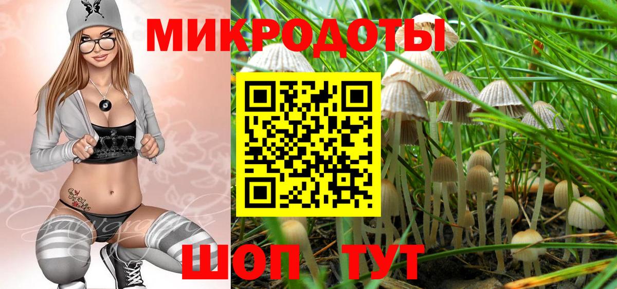 Отрадное  Галлюциногенные грибы Magic Shrooms  Вход с VPN  Галлюциногенные грибы мицелий 